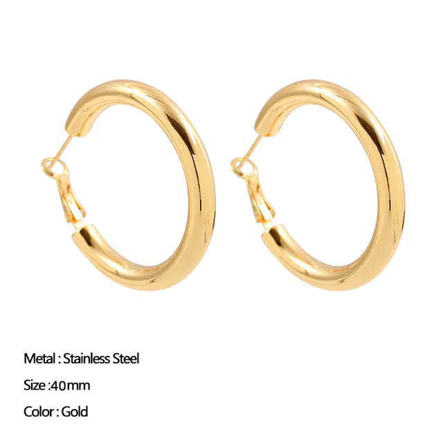 Classic Stainless Steel Ear Buckle for Women